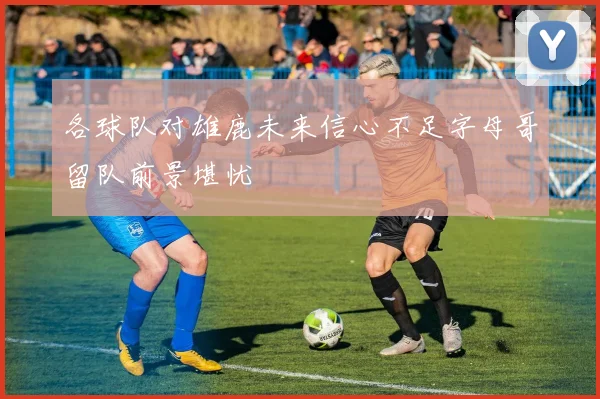 各球队对雄鹿未来信心不足字母哥留队前景堪忧