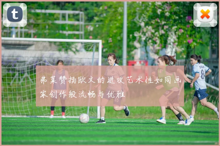 弗莱赞扬欧文的进攻艺术性如同画家创作般流畅与优雅
